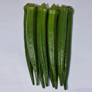 Okra Seeds