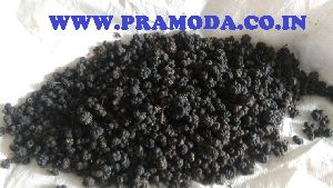 DRIED NONI FRUITS