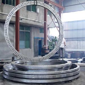 Customized Flanges