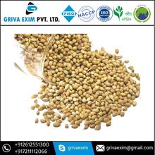 Coriander Seed