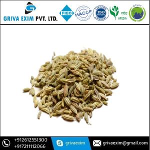 Fennel Seed