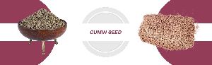 Cumin Seed