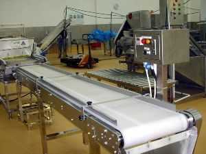 Food Grade Conveyor Belts