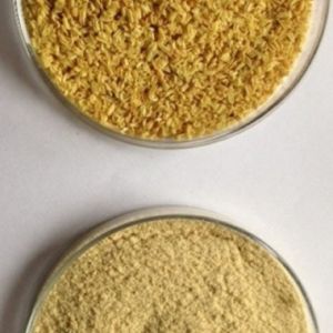 Psyllium Husk Powder