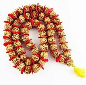 Rudraksha mala five mukhi Nepal