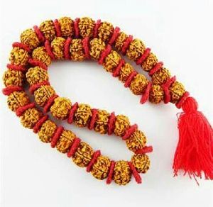 Rudraksha Mala six mukhi Nepali