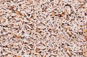 Dry Isabgol Seed