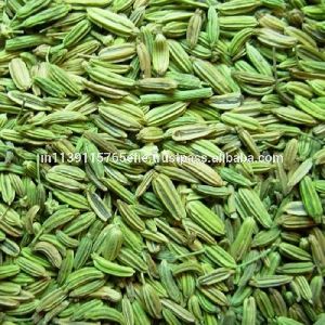 Fennel Seed