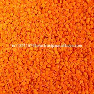 red split lentil