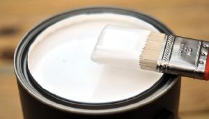 Calcium Carbonate Paints