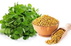 Fenugreek (Methi) Leaf Powder