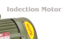 Induction Motor