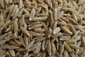 cumin whole