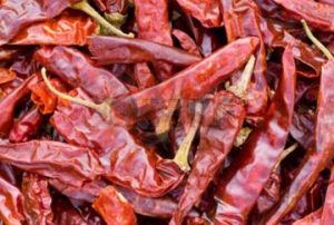 Dried Chilli