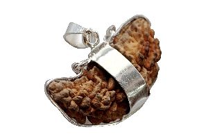 One Mukhi Half Moon Rudraksha in Silver Pendant