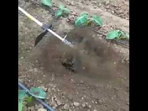 Brush Cutter with Weeder Attachment