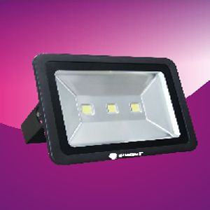 Flood Light