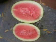 Water Melon