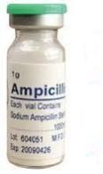 Ampicillin Injection