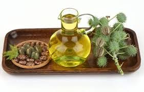 Castor Seed Oil