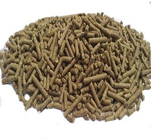 Dairy Special FISH FEED