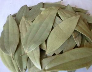 Bay Leaf