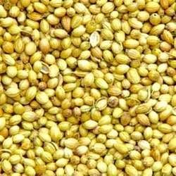 Coriander Seeds