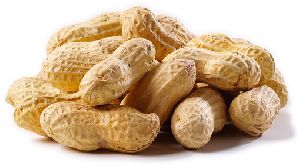 Raw Shelled Peanuts