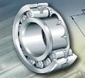 Cylindrical Roller Bearings