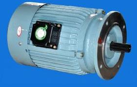 Aerator Motor