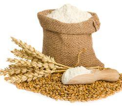 Wheat Flour