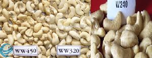cashew nuts