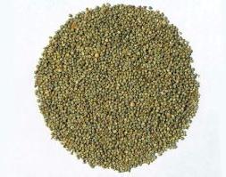 Green Millet