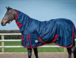 Horse Rein Rugs