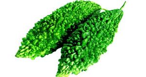 Karela Powder or Momordica charntia