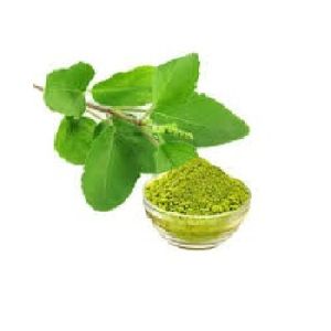 tulsi or Holy basil powder or dry leaves