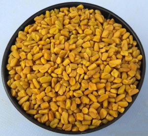 Fenugreek