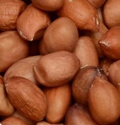 Java 80-90 Peanut Kernels