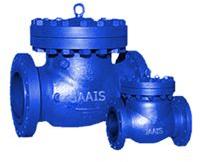 Non Return Valves