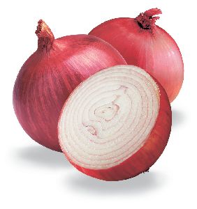 Onion