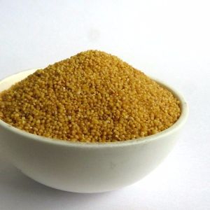 Foxtail Millet