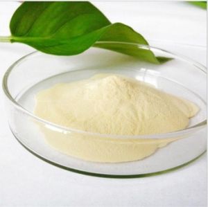 Garcinia Cambogia Powder