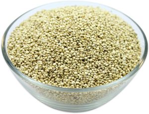 Quinoa Seeds