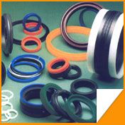 Automotive Hydraulic Seals