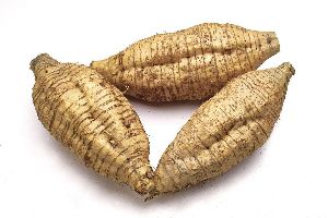 Arrowroot