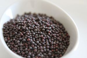 Black Mustard Seeds