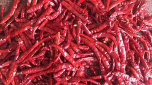 Dry Red Chili