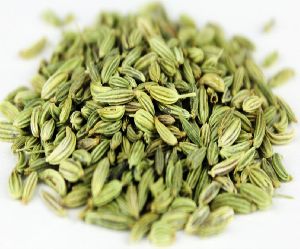 Fennel Seeds