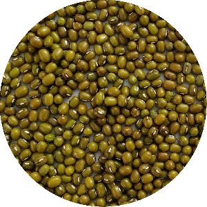 Mung Beans