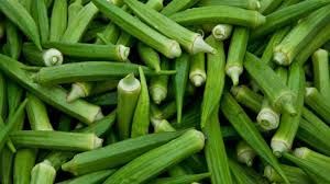 Okra lady finger